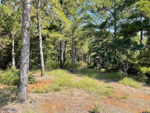 Listing photo 3 for LOT5 County Road 1150, Tyler TX 75704