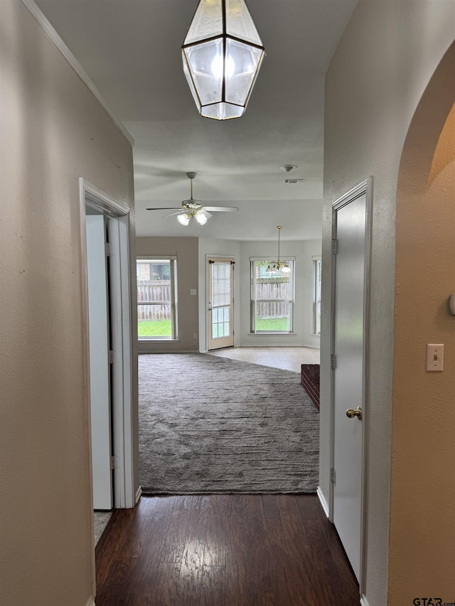 201 Ash Dr, Bullard, TX 75757 - photo 10