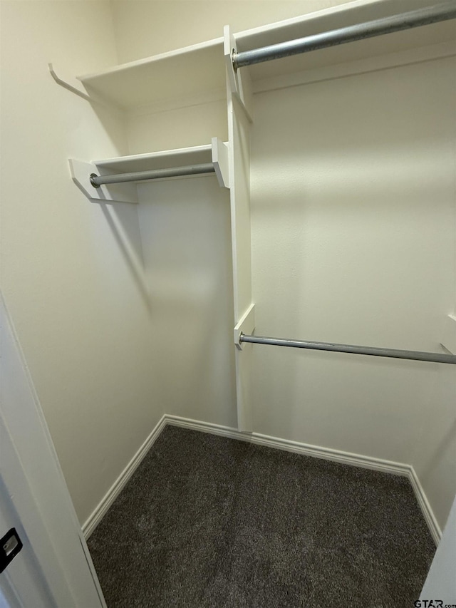 203 Macarthur St, Tyler, TX 75704 - walk in closet featuring carpet flooring