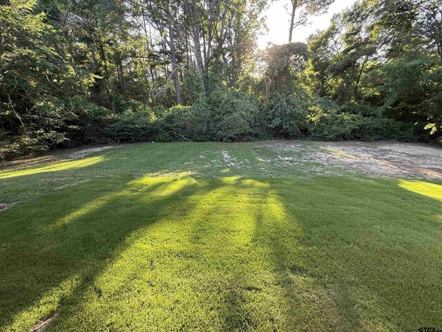 203 Macarthur St, Tyler, TX 75704 - view of grassy yard