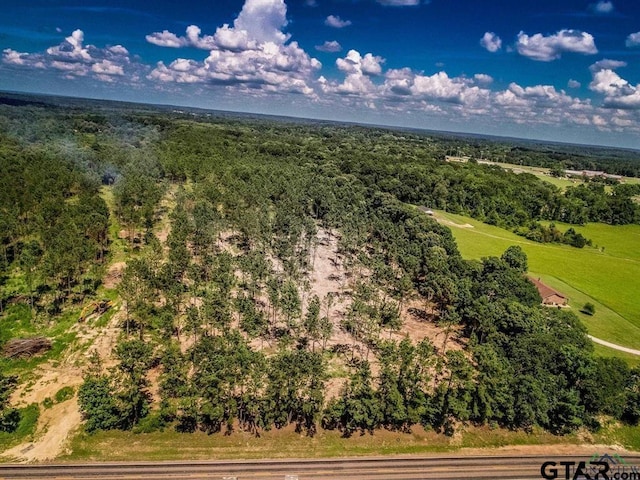 TBD Fm 1968, Harleton, TX 75651 - photo 4