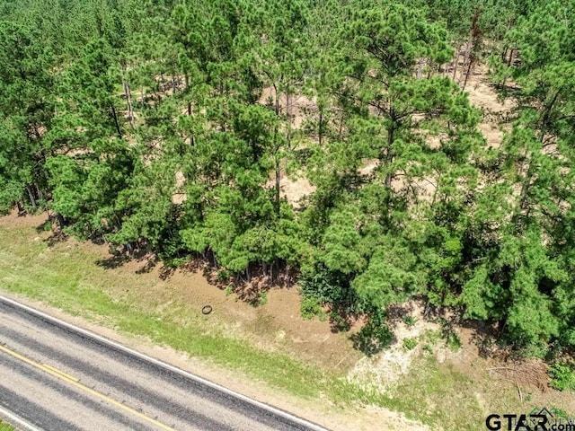 TBD Fm 1968, Harleton, TX 75651 - photo 6