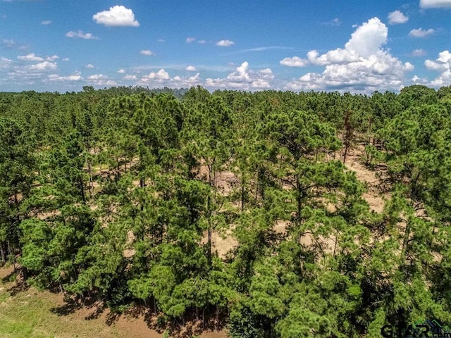 TBD Fm 1968, Harleton, TX 75651 - photo 3