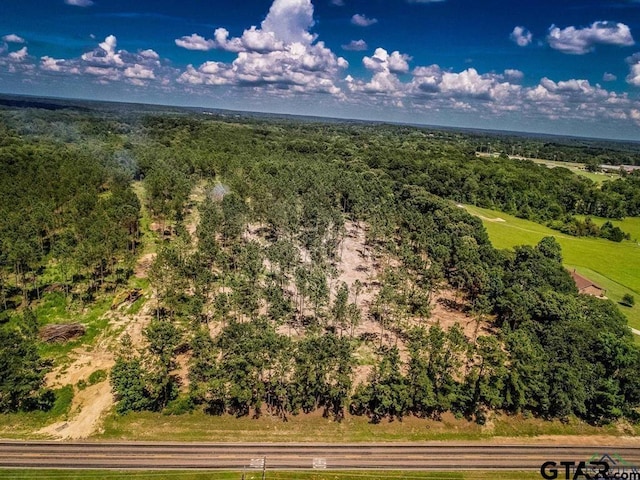 TBD Fm 1968, Harleton, TX 75651 - photo 9