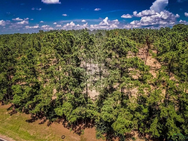 TBD Fm 1968, Harleton, TX 75651 - photo 7
