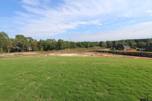 view of yard featuring a rural view