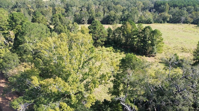 Listing photo 3 for TBD Cr 2120, Crockett TX 75835