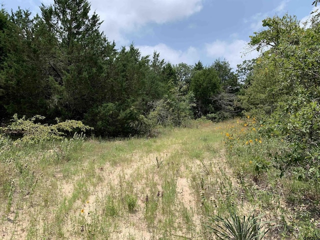 Listing photo 2 for TBD Fm 2494, Athens TX 75751