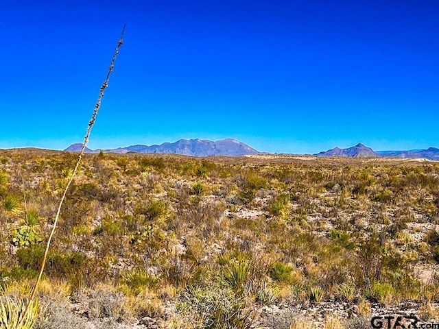 52742 Mariposa Mine Rd, Terlingua, TX 79852 - photo 3