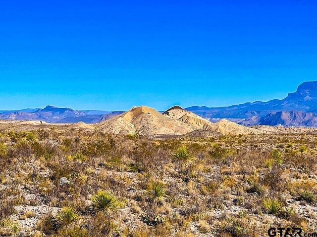 52742 Mariposa Mine Rd, Terlingua, TX 79852 - photo 4