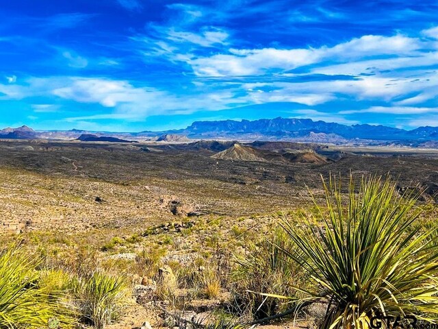 52742 Mariposa Mine Rd, Terlingua, TX 79852 - photo 18