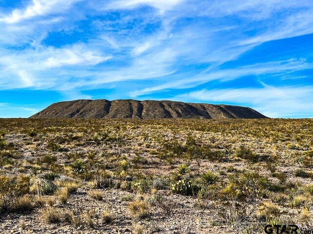 52742 Mariposa Mine Rd, Terlingua, TX 79852 - photo 26