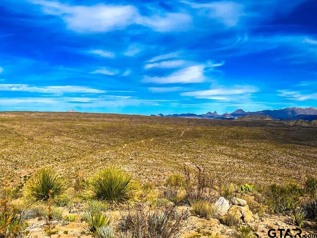 52742 Mariposa Mine Rd, Terlingua, TX 79852 - photo 17