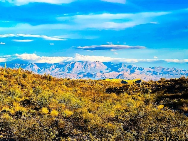 52742 Mariposa Mine Rd, Terlingua, TX 79852 - photo 1