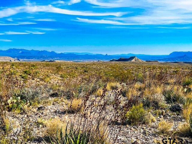 52742 Mariposa Mine Rd, Terlingua, TX 79852 - photo 24