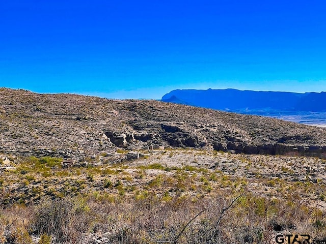 52742 Mariposa Mine Rd, Terlingua, TX 79852 - photo 10