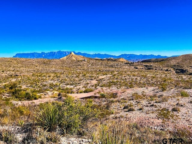52742 Mariposa Mine Rd, Terlingua, TX 79852 - photo 5