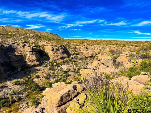 52742 Mariposa Mine Rd, Terlingua, TX 79852 - photo 22