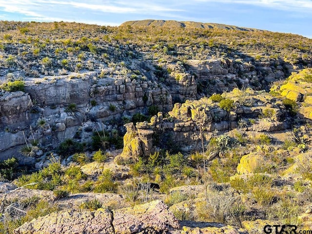 52742 Mariposa Mine Rd, Terlingua, TX 79852 - photo 29
