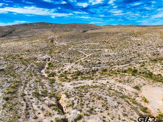 52742 Mariposa Mine Rd, Terlingua, TX 79852 - photo 43