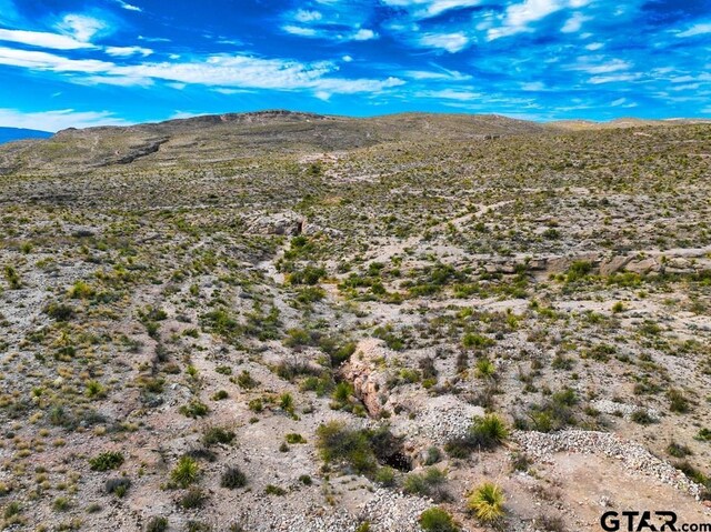 52742 Mariposa Mine Rd, Terlingua, TX 79852 - photo 42
