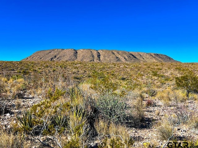 52742 Mariposa Mine Rd, Terlingua, TX 79852 - photo 2