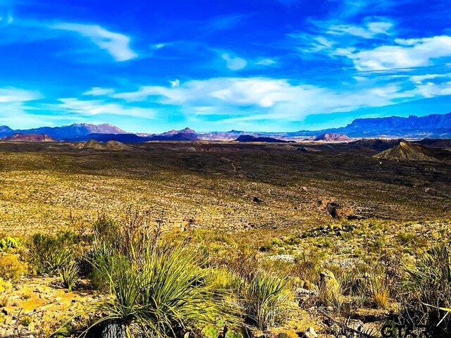 52742 Mariposa Mine Rd, Terlingua, TX 79852 - photo 35