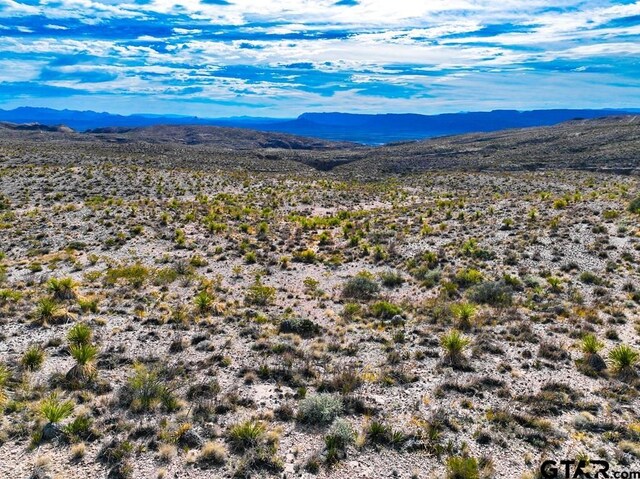 52742 Mariposa Mine Rd, Terlingua, TX 79852 - photo 41