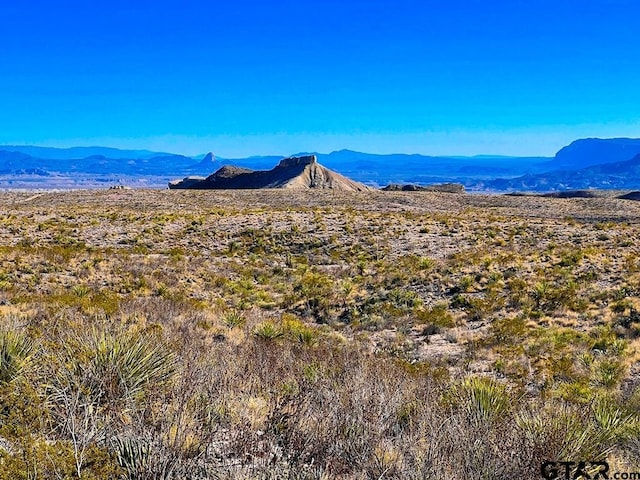 52742 Mariposa Mine Rd, Terlingua, TX 79852 - photo 8