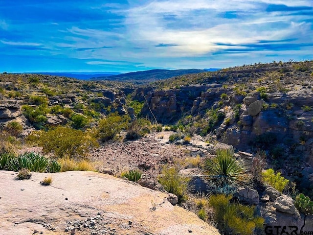 52742 Mariposa Mine Rd, Terlingua, TX 79852 - photo 23