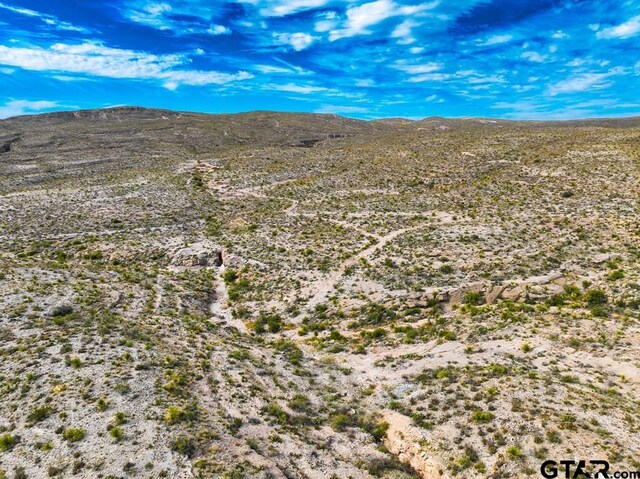 52742 Mariposa Mine Rd, Terlingua, TX 79852 - photo 45