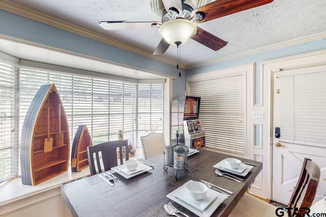 home office with plenty of natural light, crown molding, a ceiling fan, and a textured ceiling