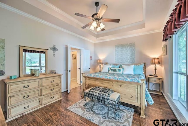 bedroom featuring a raised ceiling, dark wood-type flooring, multiple windows, and ceiling fan