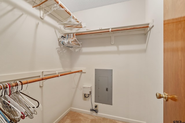 207 Pagosa Ln, Holly Lake Ranch, TX 75765 - spacious closet featuring electric panel and light carpet