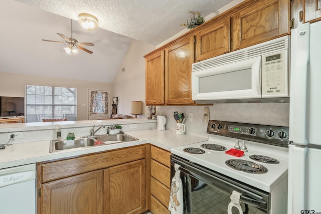 kitchen with brown cabinets, lofted ceiling, light countertops, a sink, and white appliances