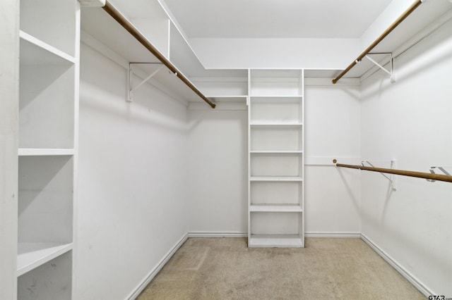 904 Van Winkle Cir, Athens, TX 75751 - walk in closet with carpet flooring