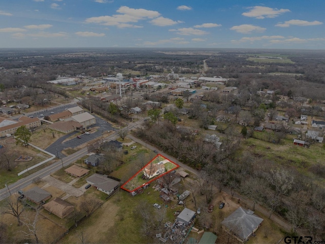 drone / aerial view