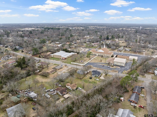 bird's eye view