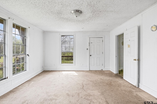 empty room with carpet flooring, a textured ceiling, and crown molding