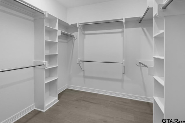 spacious closet with dark hardwood / wood-style floors