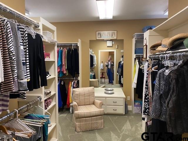 walk in closet featuring carpet floors