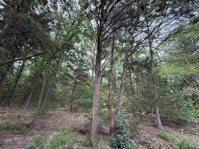 15ACRES County Road 2324, Como, TX 75431 - photo 6