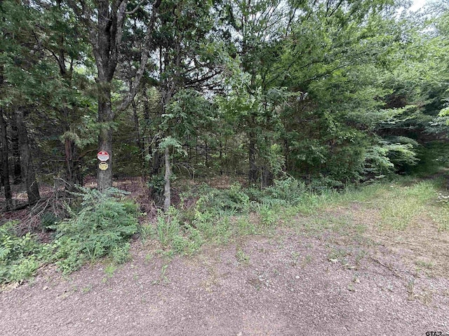 15ACRES County Road 2324, Como, TX 75431 - photo 7