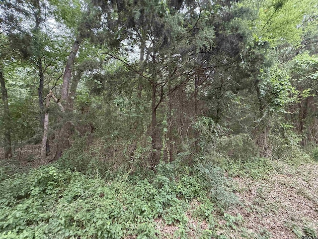 15ACRES County Road 2324, Como, TX 75431 - photo 4