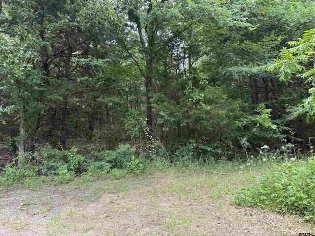 15ACRES County Road 2324, Como, TX 75431 - photo 12