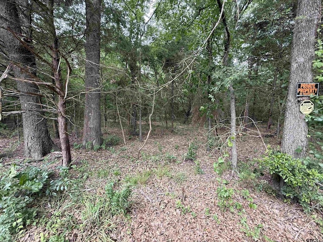 15ACRES County Road 2324, Como, TX 75431 - photo 5