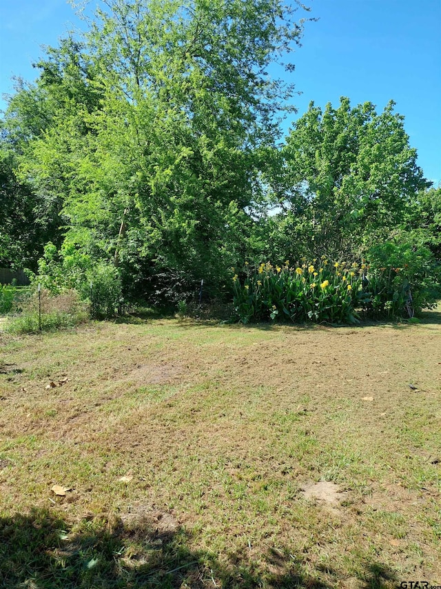 409 W Carnegie St, Winnsboro, TX 75494 - photo 22