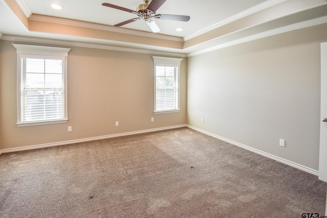 spare room with crown molding, a raised ceiling, ceiling fan, and carpet flooring