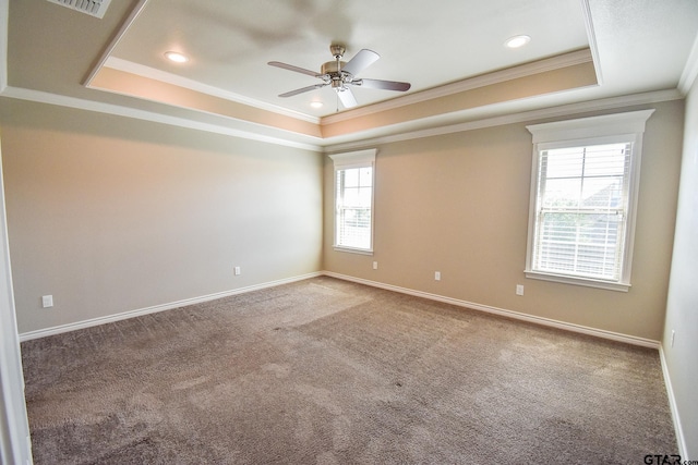 carpeted spare room featuring plenty of natural light and a tray ceiling