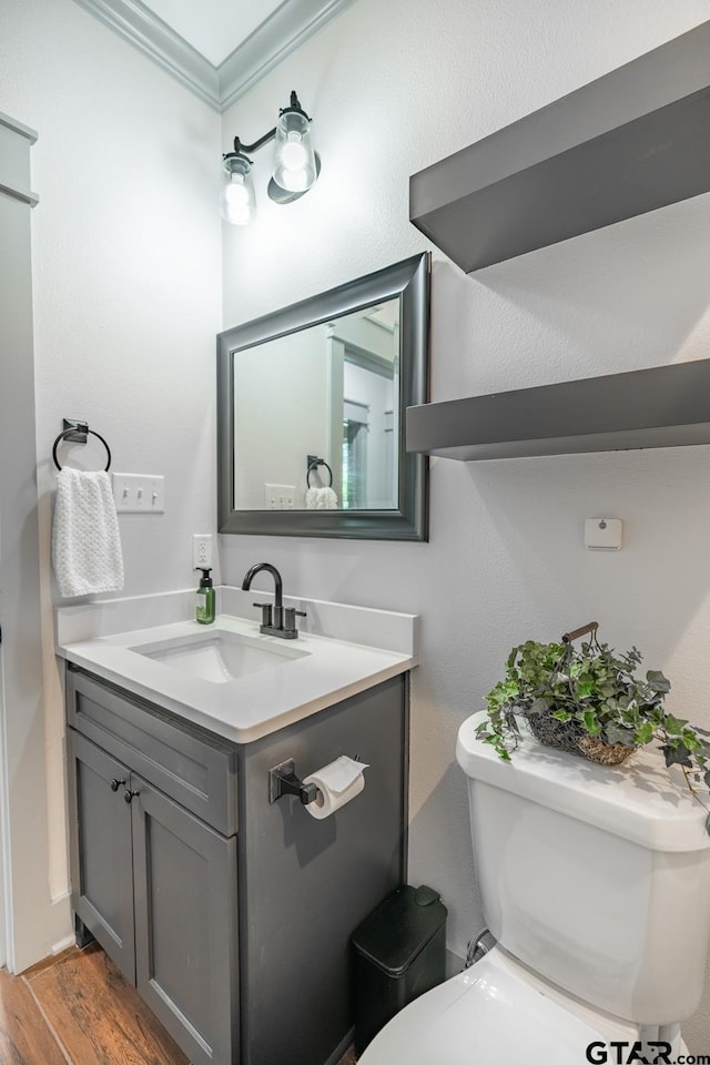 15348 C R 169, Tyler, TX 75703 - bathroom featuring crown molding, vanity, and wood finished floors